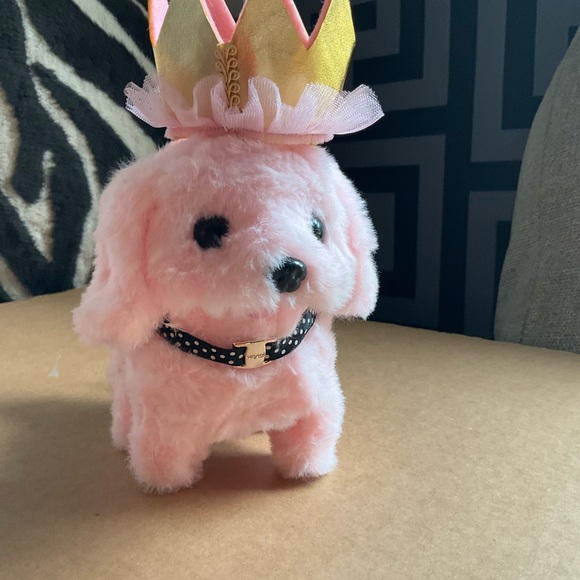 Pet Birthday Crown. Small - Picture 3 of 6